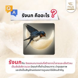 รวมข้อสงสัยยอดฮิต พอสรังนกมีคำตอบให้