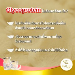 ไกลโคโปรตีน หัวใจหลักของรังนก