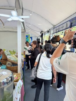 PausBirdnest งาน Southern Trade Connect 2569