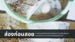 ทำไมคนจีนชอบทานรังนก? ไขความลับสุดทึ่งกับ "พอสรังนก"