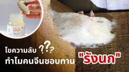 ทำไมคนจีนชอบทานรังนก? ไขความลับสุดทึ่งกับ "พอสรังนก"