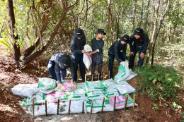 กองทุนฮอนด้าเคียงข้างไทยมูลนิธิอุทกพัฒน์ เดินหน้าฟื้นฟูป่าต้นน้ำและแก้ปัญหาน้ำอย่างยั่งยืนในชุมชนหนองโน จังหวัดชัยภูมิ