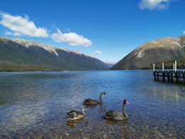 Riding is my Passion 2019 Riding in new zealand by Dreamchaser