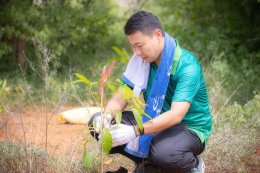 TOSTEM THAI CSR 2026: Community Forest Tree Planting Event