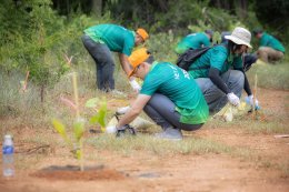 TOSTEM THAI CSR 2026: Community Forest Tree Planting Event