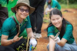 TOSTEM THAI CSR 2026: Community Forest Tree Planting Event
