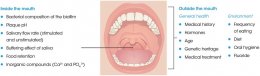 ความสำคัญของน้ำลายต่อสุขภาพในช่องปากและฟัน รวมไปถึงสภาวะของกลิ่นปากอันเนื่องมาจากความไม่สมดุลของเชื้อแบคทีเรียในช่องปาก ( Imbalance of Oral Microbiome )