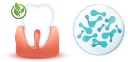 เป๊ปไทด์ต้านจุลินทรีย์ที่แข็งแกร่ง สามารถป้องกันและรักษาโรคฟันผุได้อย่างยั่งยืน