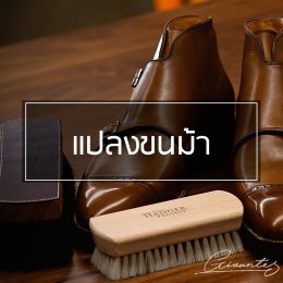 How to take care your leather shoes 6 วิธีง่ายๆในการดูแลรองเท้า