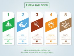 Openland Group