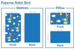 Robinson Robin Bird Project