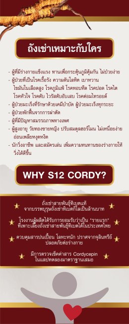 S12 Cordy ถังเช่าแคปซูล