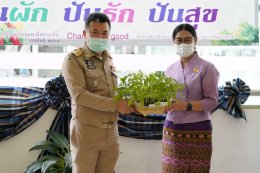 พช.จัดกิจกรรม "Veget of Love ปันผัก ปันรัก ปันสุข"