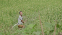 คลิปวีดิโอ สนพ.เราสร้างสรรค์...เพื่อทุกคน