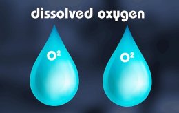 ค่า BOD (Biological oxygen demand) และ DO (Dissolved oxygen)