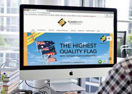 "Flagsmate" CI and Website Design