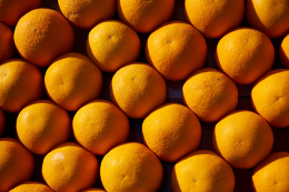 Standardizing the orange orchard in the Thailand