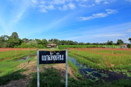 โครงการแกล้งดิน