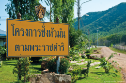 โครงการชั่งหัวมัน