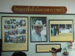 โครงการชั่งหัวมัน
