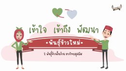 อนิเมชั่น เข้าใจ เข้าถึง พัฒนา ตอน พันธุ์ข้าวใหม่ 2พันธุ์พื้นบ้านชาวไทยมุสลิม
