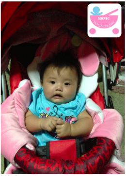 เบาะรองรถเข็น