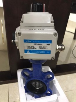 Electric Actuator