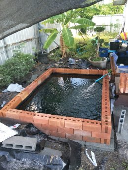 บ่อเลี้ยงปลาปูพลาสติก LDPE อิฐประสาน เห็นธรรมดา ที่ไม่ธรรมดา