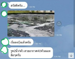 ปั้มลม Root Blower ขนาด 2 นิ้ว ใช้งานร่วมกับ หัวจ่ายอากาศ
