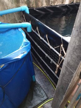 บ่อพลาสติก LDPE ขึ้นทรงสำเร็จรูป ขนาดสั่งตัด เพื่อใช้งานวางด้านข้างตัวบ้าน