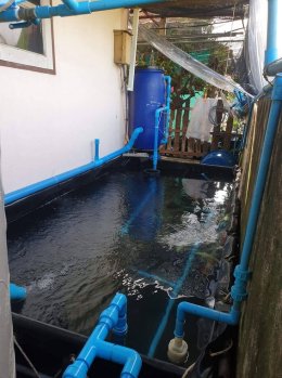 บ่อพลาสติก LDPE ขึ้นทรงสำเร็จรูป ขนาดสั่งตัด เพื่อใช้งานวางด้านข้างตัวบ้าน