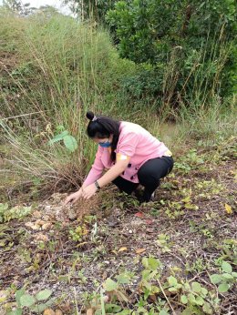 Tipmetha co.,ltd participated in “ Her Majesty Queen Sirikit The Queen Mother 90 million trees Reforestation project “