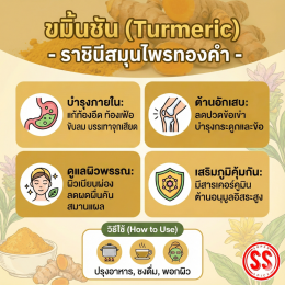 "ขมิ้นชัน" สมุนไพรสีทอง กับความลับที่คนรักสุขภาพต้องรู้! 