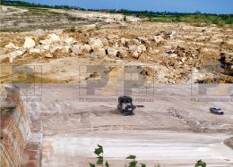 Revitalizing Damaged Environment (Ex-mine blasting sites)