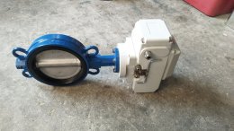 motorized valve