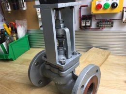 Globe valve + air cylinder