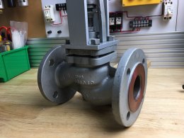 Globe valve + air cylinder