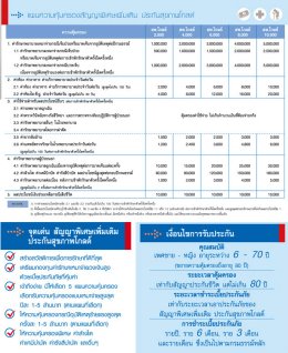 Thai Insurrance - Gold Package