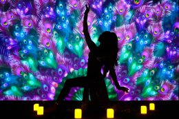 Mermaid Fantasy &  Cabaret show