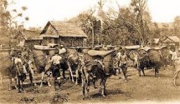 เรื่องเล่าลี้ลับ "ตำนานชาวกุลา" 