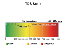 What is TDS and Why Should You Care About It? 