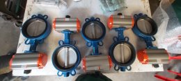 RAT083 + Buterfly Valve DN0150