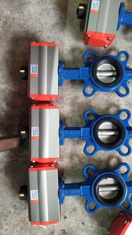 RAT063+Butterfly Valve 2.5 "