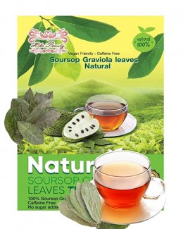Soursop Graviola Leaves Dried Guanabana Leaves 100 pcs for tea Natural Original Natural taste Sourced from Thailand