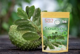Soursop Graviola Leaves Dried Guanabana Leaf Tea 30 Tea Bags 