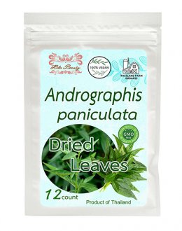 Andrographis paniculata Leaves Tea bags 12 Count
