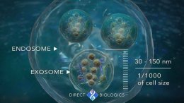 แนะนำเทคนิคดูแลปัญหาผมร่วงผมบาง: Exosome เอ็กโซโซม ช่วยดูแลผมร่วงผมบางได้อย่างไร Exosome Therapy for Hair Loss