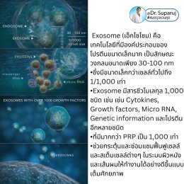 Exosome (เอ็กโซโซม) คืออะไร? & ช่วยเรื่องปัญหาผิวหนังได้อย่างไรบ้าง?