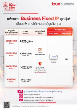 โปรเน็ตทรู ระบบเน็ต Fix ip บริษัท fix ip SME