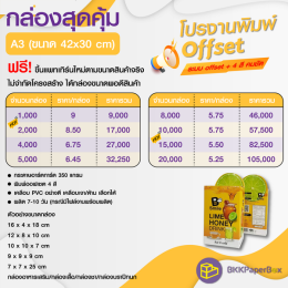 โปรโมชั่น งานพิมพ์ offset  ขนาด A3